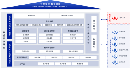 元年稅效協(xié)同 財(cái)稅數(shù)字化產(chǎn)品的顛覆與重塑